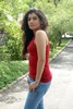 Sivangi Movie Photo Gallery - 11 of 37