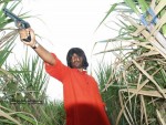 Sneham Movie Stills - 40 of 29