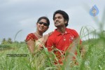 Sokkali Movie Hot Stills - 13 of 41