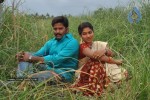 Sokkali Movie Hot Stills - 18 of 41