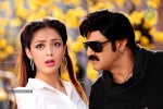 Srimannarayana Movie Latest Stills - 6 of 23