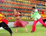 Srimannarayana Movie New Stills - 10 of 12