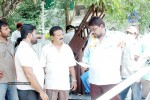 Subhadra Movie Stills - 30 of 38