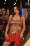 Swethabasu Item Song Stills in Intelligent Idiots - 7 of 27