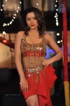 Swethabasu Item Song Stills in Intelligent Idiots - 15 of 27