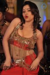 Swethabasu Item Song Stills in Intelligent Idiots - 20 of 27