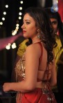 Swethabasu Item Song Stills in Intelligent Idiots - 26 of 27