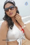 Swiss Bank ki Daredi Movie Hot Stills - 16 of 31