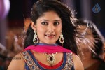 Teja Bhai Movie Stills n Walls - 15 of 19