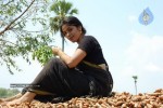 Telangana Godavari Movie Stills - 40 of 58