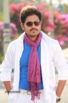 Telugulo Naaku Nachani Padam Prema Photos - 154 of 312