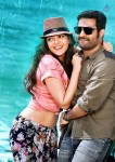 Temper Movie Latest Stills - 5 of 10