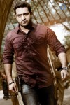 Temper Movie New Stills - 6 of 11