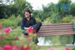 Thakita Thakita Movie Latest Photos - 65 of 64