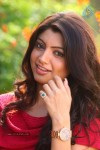 Thigaar Tamil Movie Photos - 33 of 51