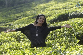 Thiraikku Varatha Kathai Tamil Movie Photos - 28 of 60