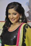 Thiruttu VCD Tamil Movie Stills - 30 of 67