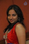 Thiruttu VCD Tamil Movie Stills - 31 of 67