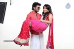 Thiruttu VCD Tamil Movie Stills - 55 of 67
