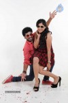 Thiruttu VCD Tamil Movie Stills - 60 of 67