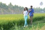 Tholi Sandhya Velalo Stills n Walls - 2 of 42