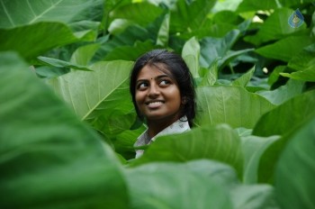 Tholipremalo Movie Photos - 16 of 21