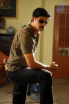 Tiger Vishva Tamil Movie Stills - 4 of 39