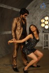 Tiger Vishva Tamil Movie Stills - 25 of 39