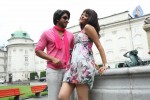 Tiger Vishva Tamil Movie Stills - 33 of 39