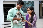 Vaaradhi Movie Photos - 4 of 4