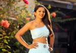 Vaathu Tamil Movie Hot Stills - 24 of 38