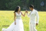 Vachchadu Gelichadu Movie New Stills - 26 of 58