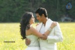 Vachchadu Gelichadu Movie New Stills - 6 of 58