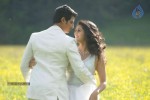 Vachchadu Gelichadu Movie New Stills - 27 of 58