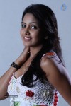 Vajram Tamil Movie Stills - 37 of 66