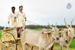 Vanavarayan Vallavarayan Tamil Movie Photos - 23 of 81