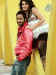 Vastadu Naa Raju Movie Stills - 12 of 17