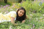 Vavwal Pasanga Tamil Movie Stills - 70 of 72