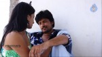 Vedika Nenu Naa Ishtamga Movie Stills - 67 of 73