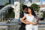 Veediki Dookudekkuva Movie Stills - 7 of 42