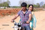 Veedu Theda Movie New Stills - 72 of 72