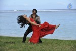 Veera Movie Latest Stills - 15 of 19