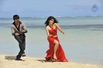 Veera Movie Latest Stills - 17 of 19