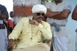 Veerangam Movie Spicy Stills - 22 of 81