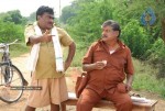 Veerangam Movie Spicy Stills - 3 of 81