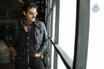 Venkatesh New Stills in Shadow - 6 of 7