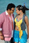 Colourful stills - Venkatesh,Trisha - Namo Venkatesa - 3 of 59