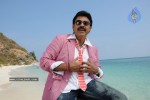 Colourful stills - Venkatesh,Trisha - Namo Venkatesa - 5 of 59