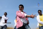 Colourful stills - Venkatesh,Trisha - Namo Venkatesa - 7 of 59