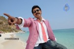 Colourful stills - Venkatesh,Trisha - Namo Venkatesa - 14 of 59